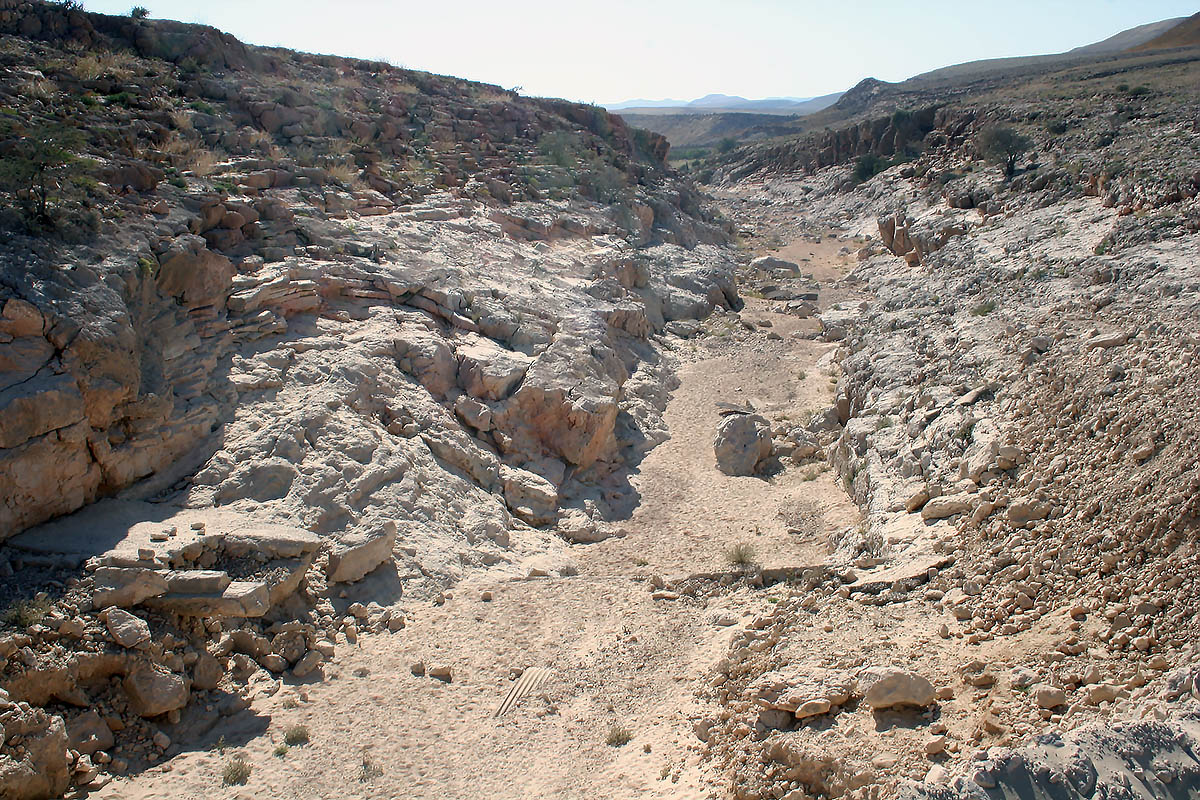 Вади Аль-Асид, image of landscape/habitat.