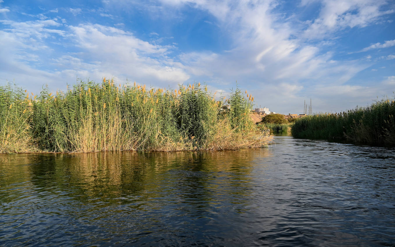 Остров Элефантина, изображение ландшафта.