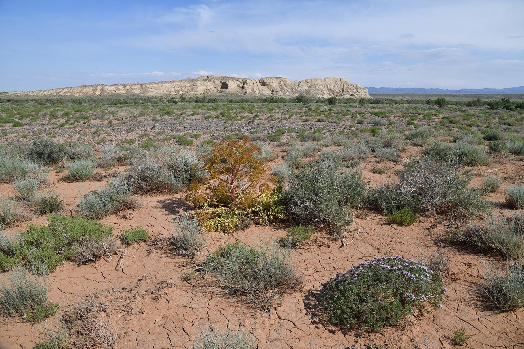 Горы Улькен-Богуты, image of landscape/habitat.