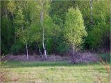 Image of landscape