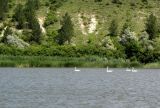 Image of landscape