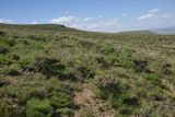 Image of landscape