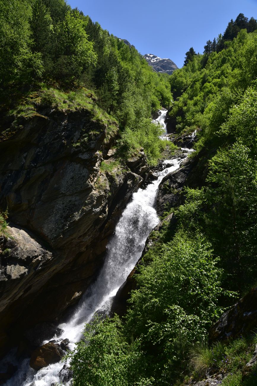 Ручей Когутайка, image of landscape/habitat.