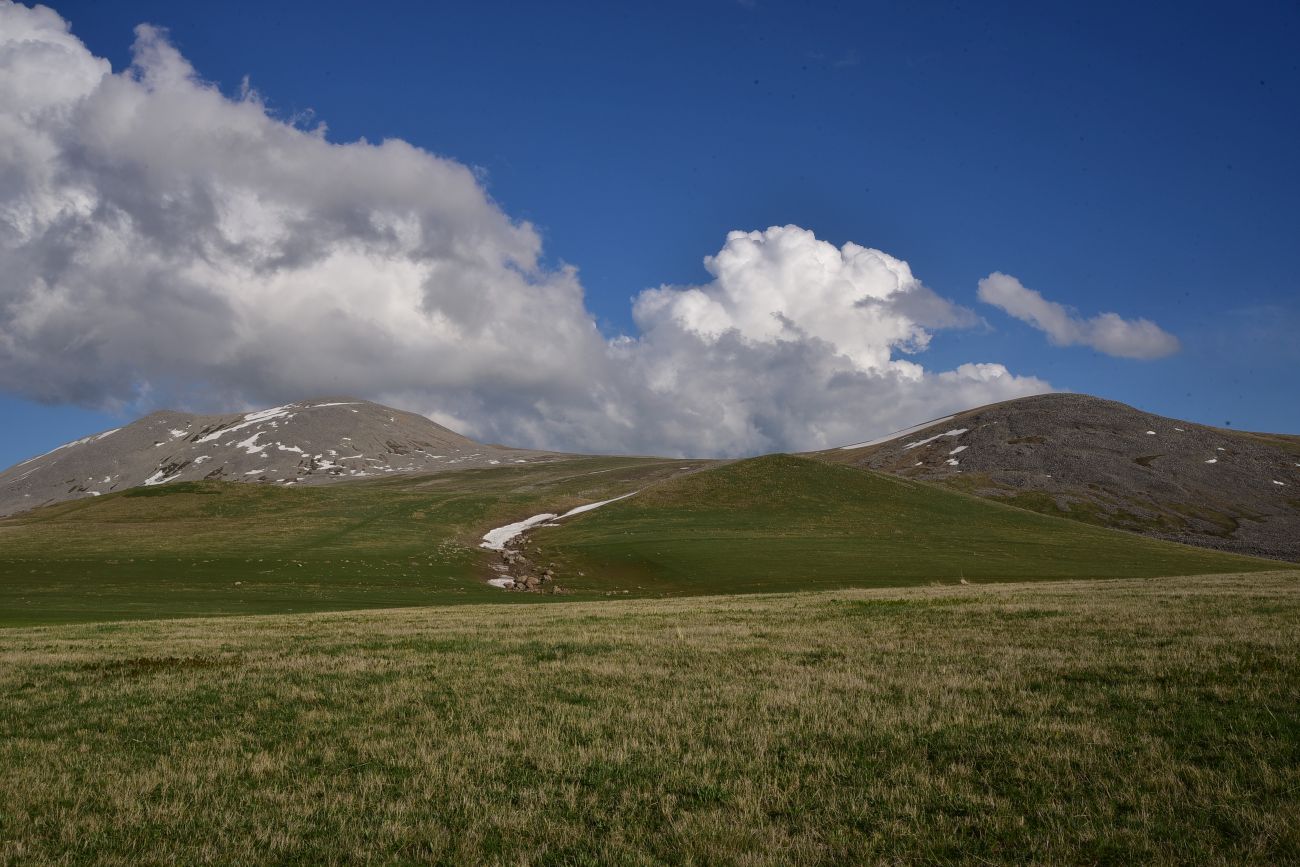 Гора Патара Абули, image of landscape/habitat.
