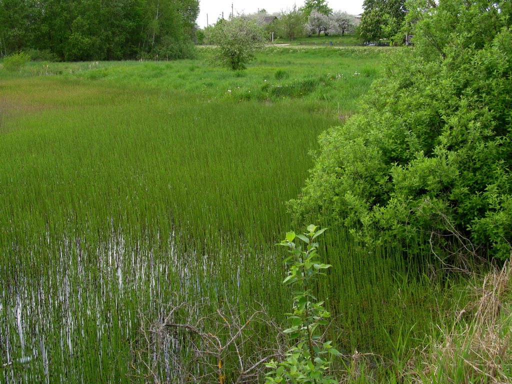 Нёвда, image of landscape/habitat.