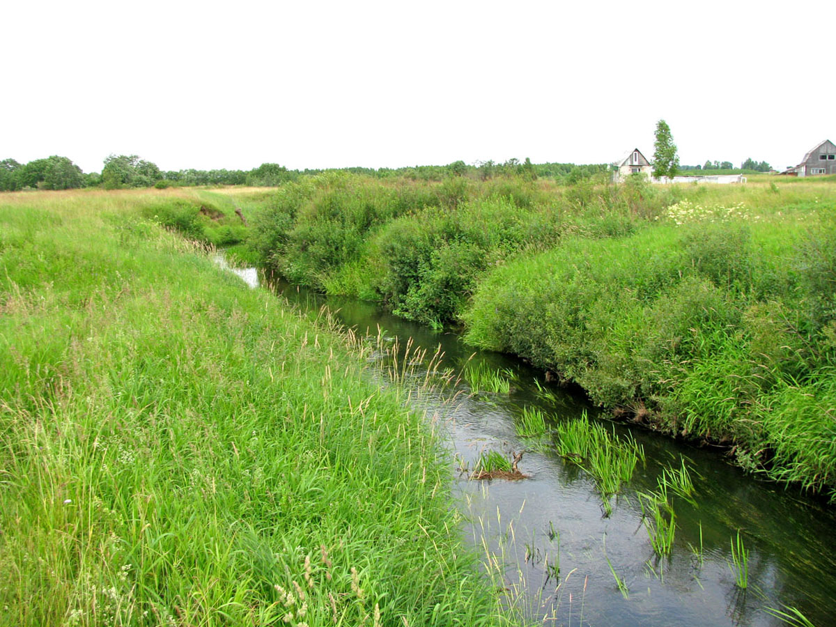 Долина Кисьмы, image of landscape/habitat.