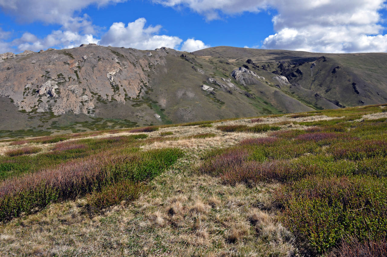 Долина реки Аккаллу-Озек, image of landscape/habitat.