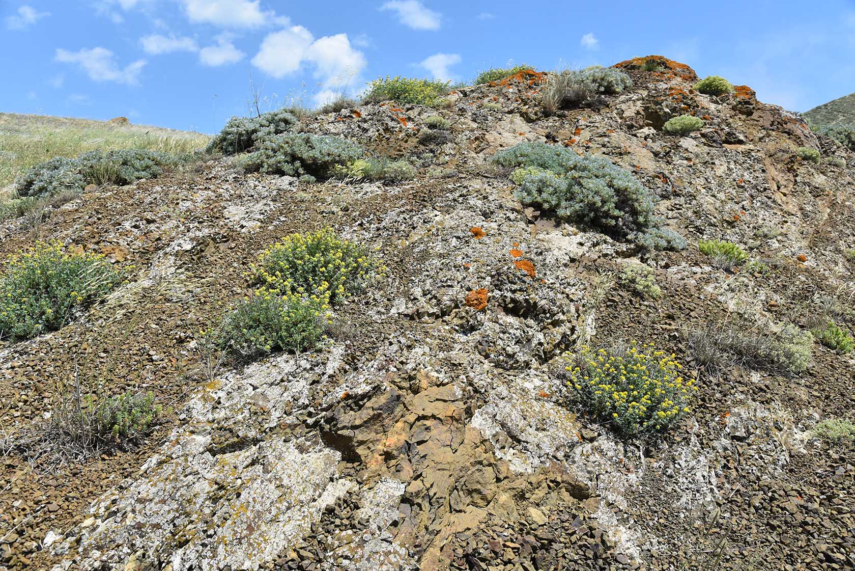 Енишарские горы, image of landscape/habitat.