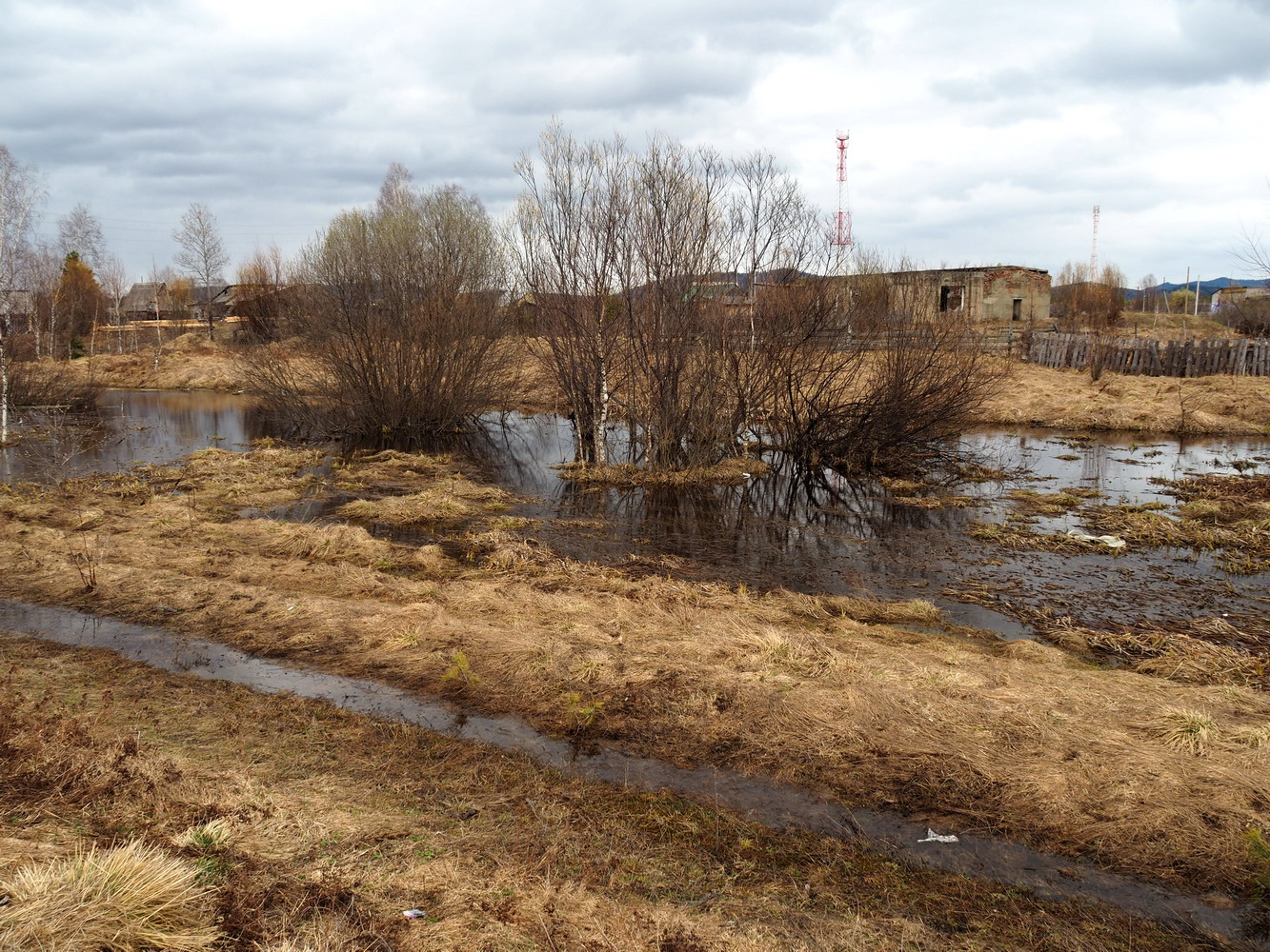 Танзыбей, image of landscape/habitat.