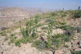 Image of landscape