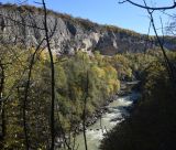 Image of landscape