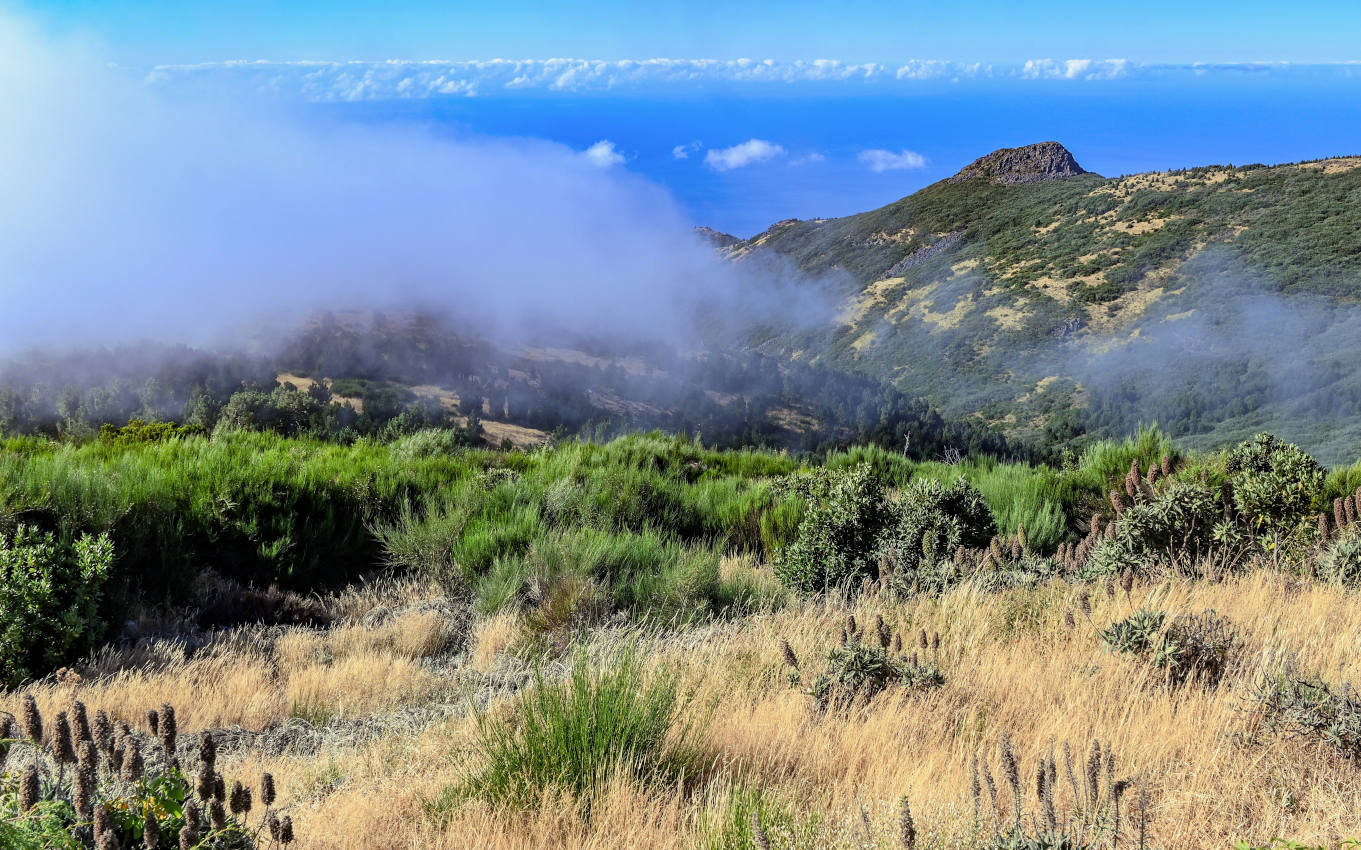 Пику-ду-Ариейру, изображение ландшафта.
