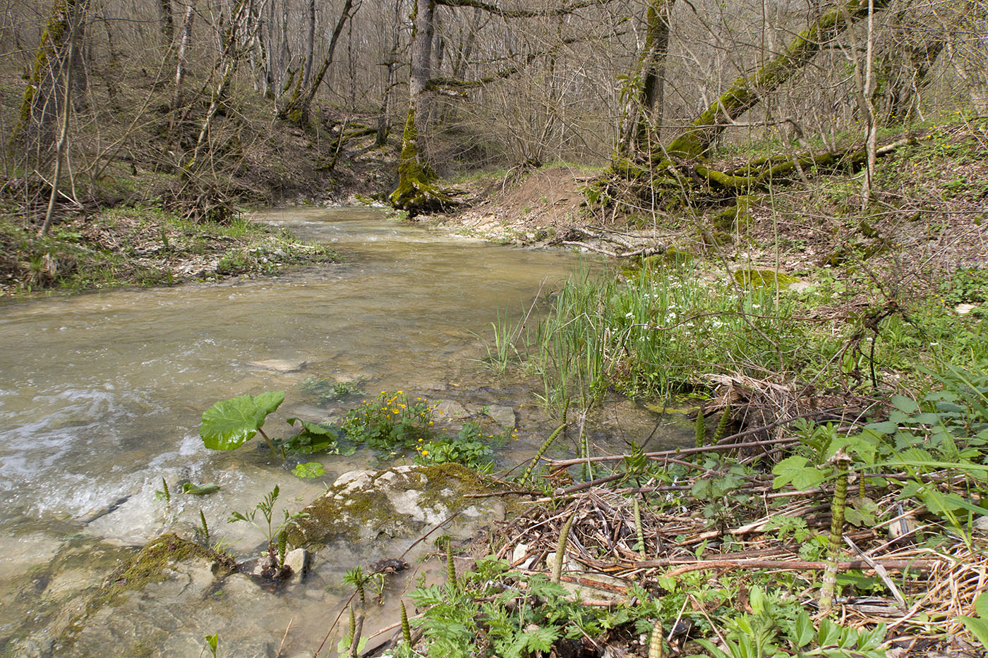Темрючки, image of landscape/habitat.