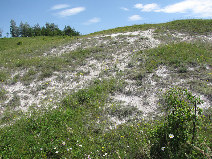 Дубенский лог, image of landscape/habitat.