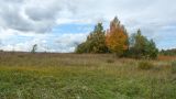 Image of landscape