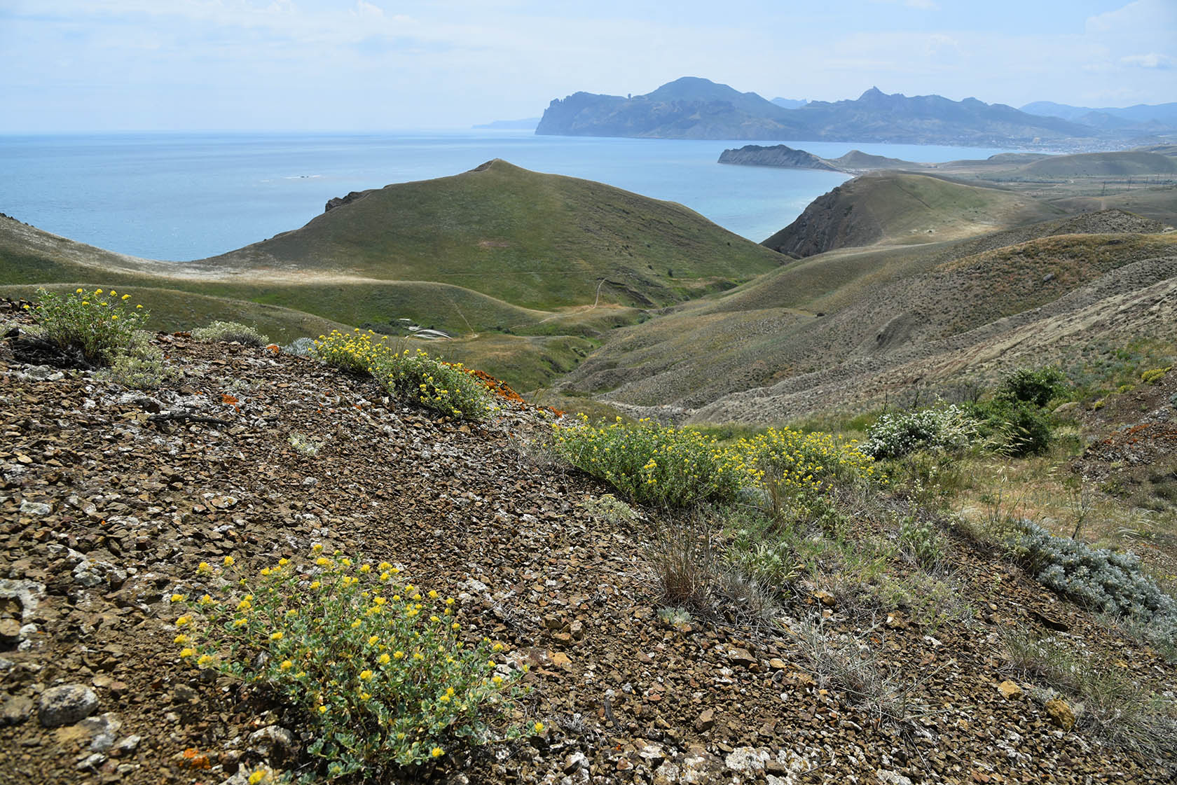 Енишарские горы, image of landscape/habitat.