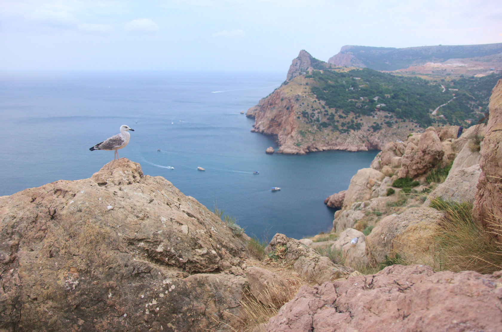 Балаклавские высоты, image of landscape/habitat.