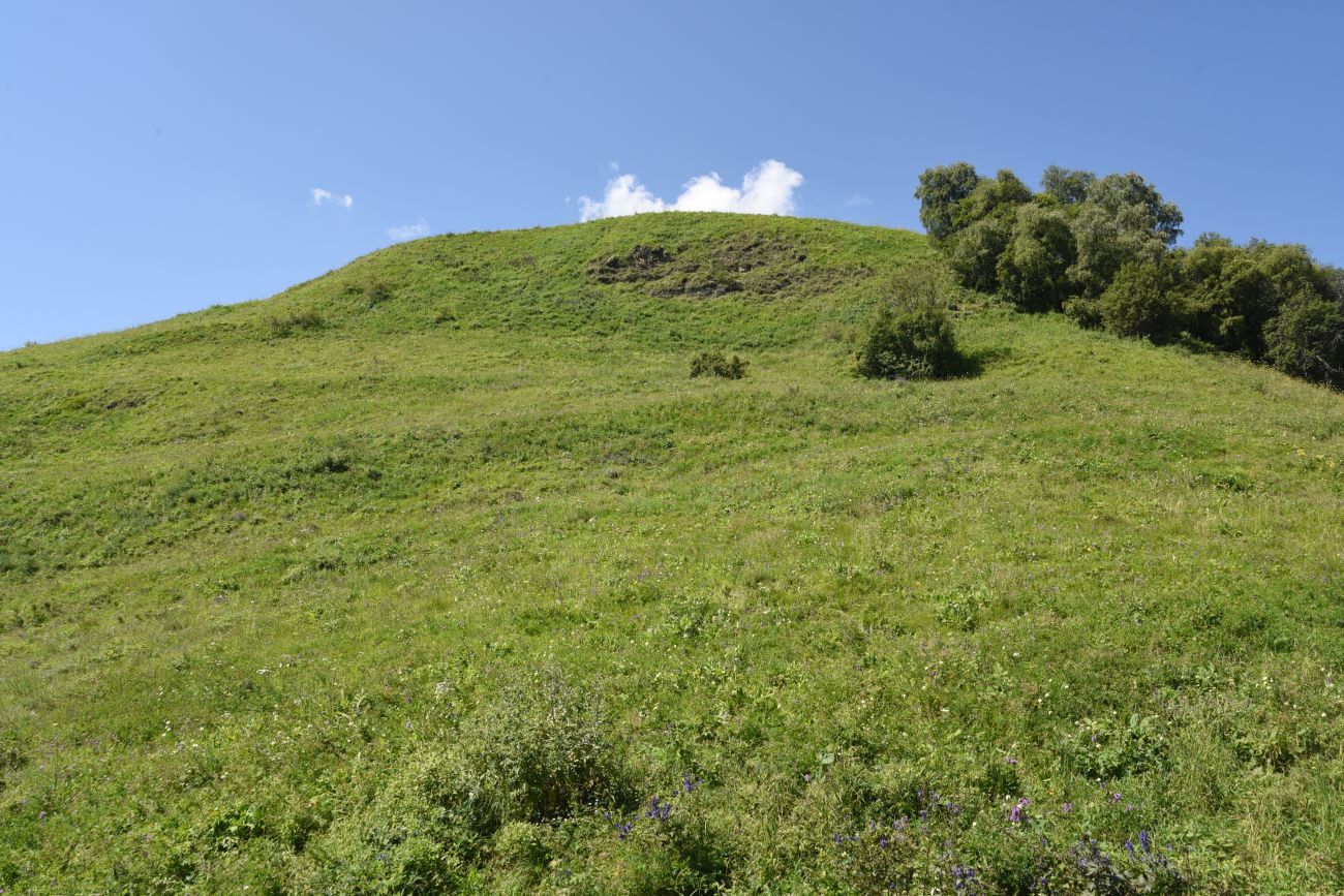 Старый дом Мухтара, image of landscape/habitat.