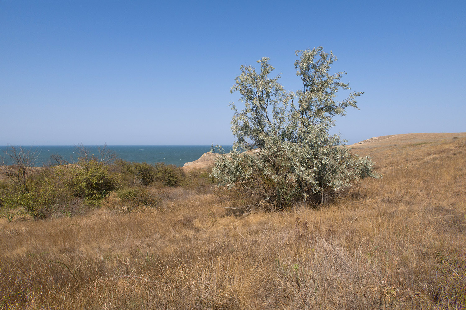 Балка у Генеральских пляжей, image of landscape/habitat.