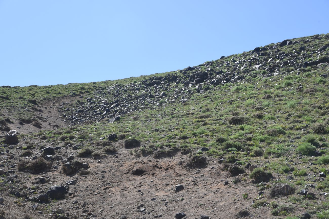 Сырт Магара, image of landscape/habitat.