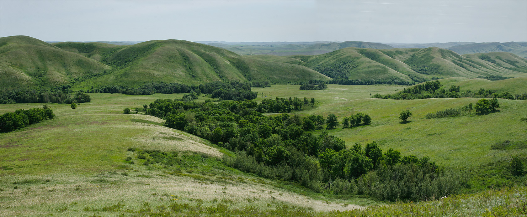 Султанбаево, image of landscape/habitat.