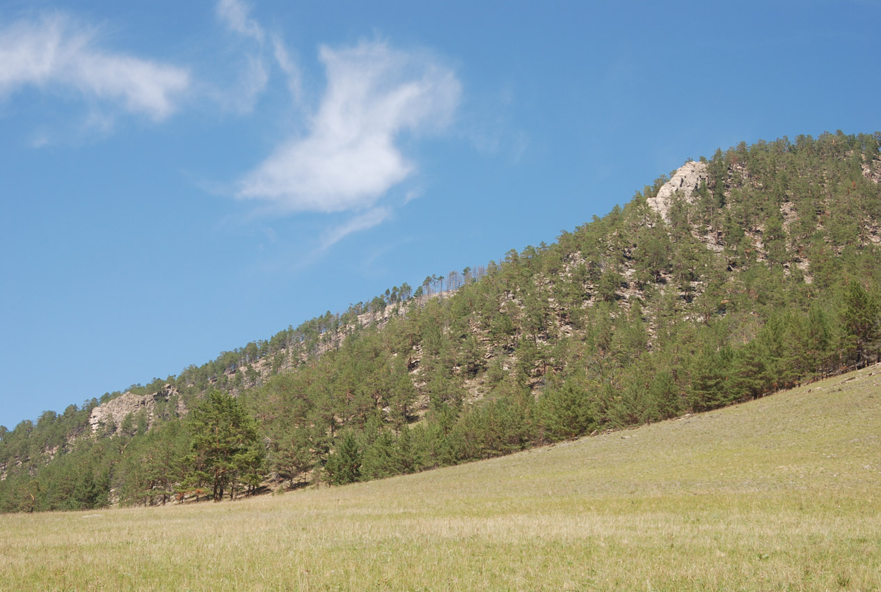 Падь Идибэ, image of landscape/habitat.