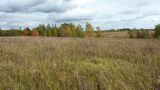 Окрестности Глядино, image of landscape/habitat.