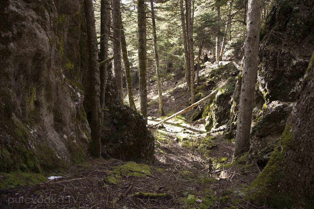 Витина и окрестности, image of landscape/habitat.