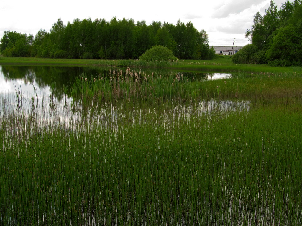 Нёвда, image of landscape/habitat.