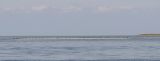 Image of landscape