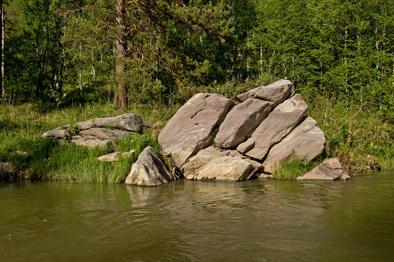 Окрестности Галиакберово, image of landscape/habitat.