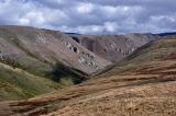 Image of landscape