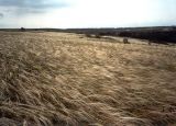 Image of landscape