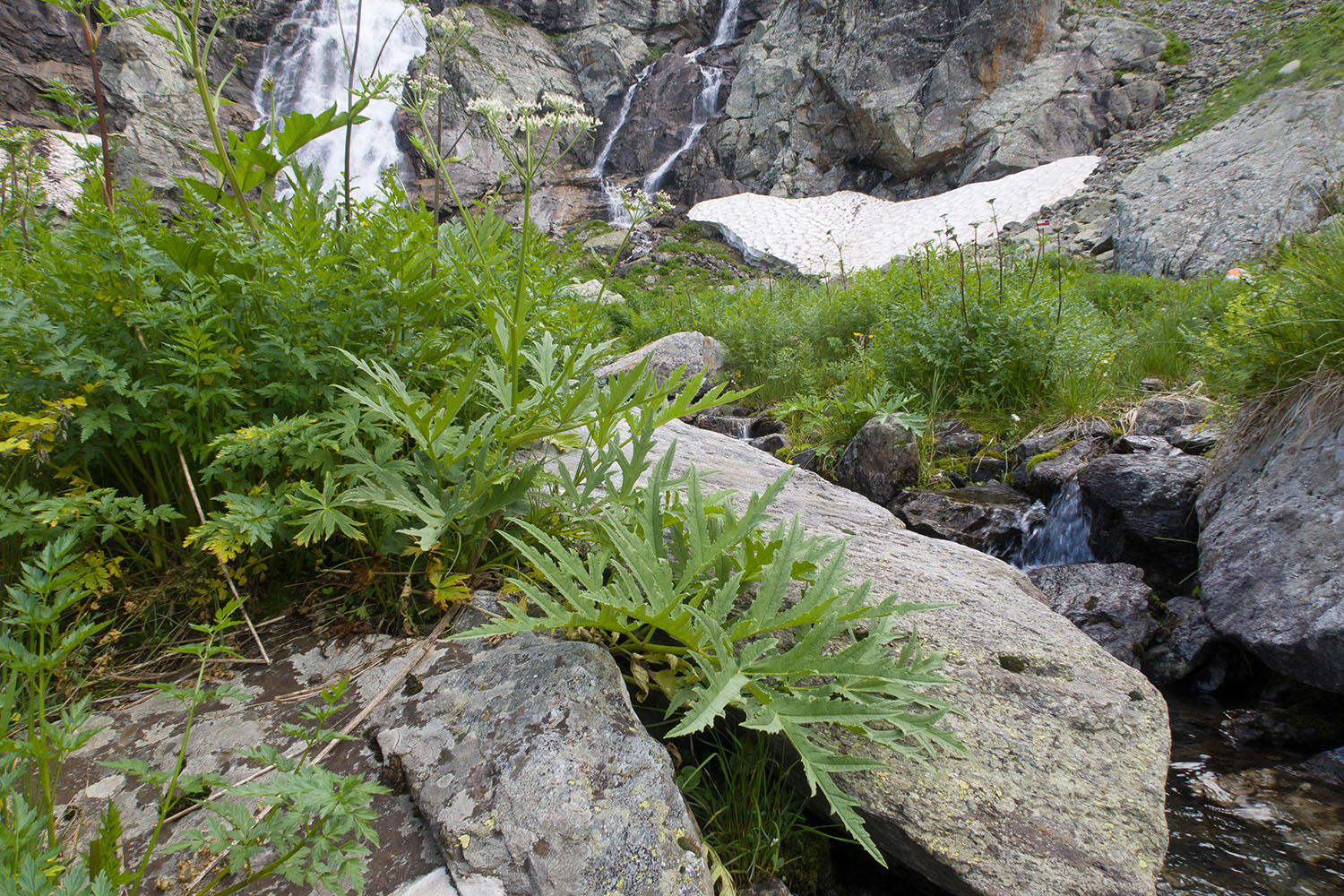 Верхний Имеретинский водопад, image of landscape/habitat.