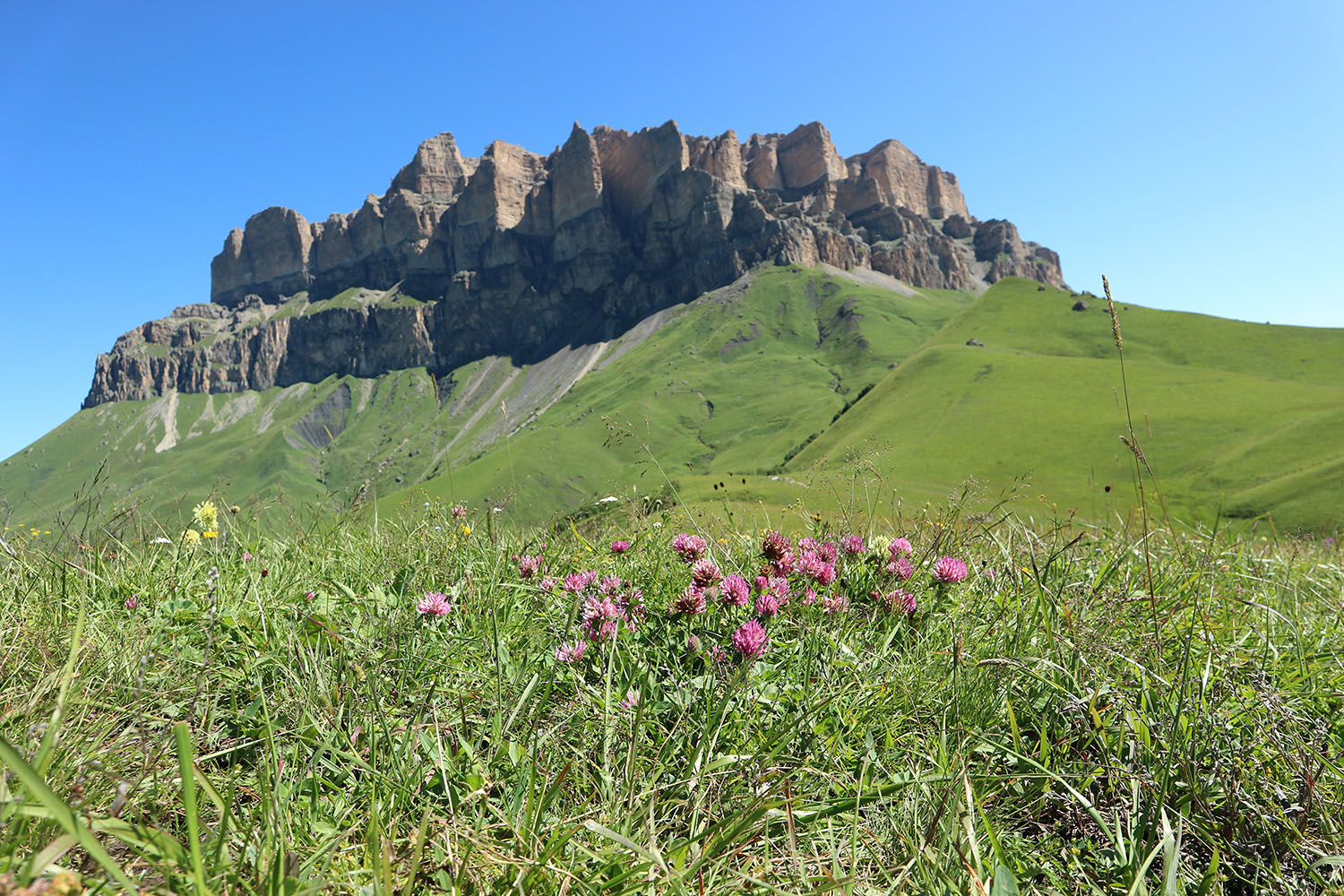 Бекаирбаши, image of landscape/habitat.