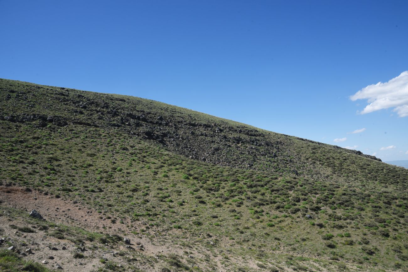 Сырт Магара, image of landscape/habitat.