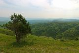 Малый Бермамыт, image of landscape/habitat.