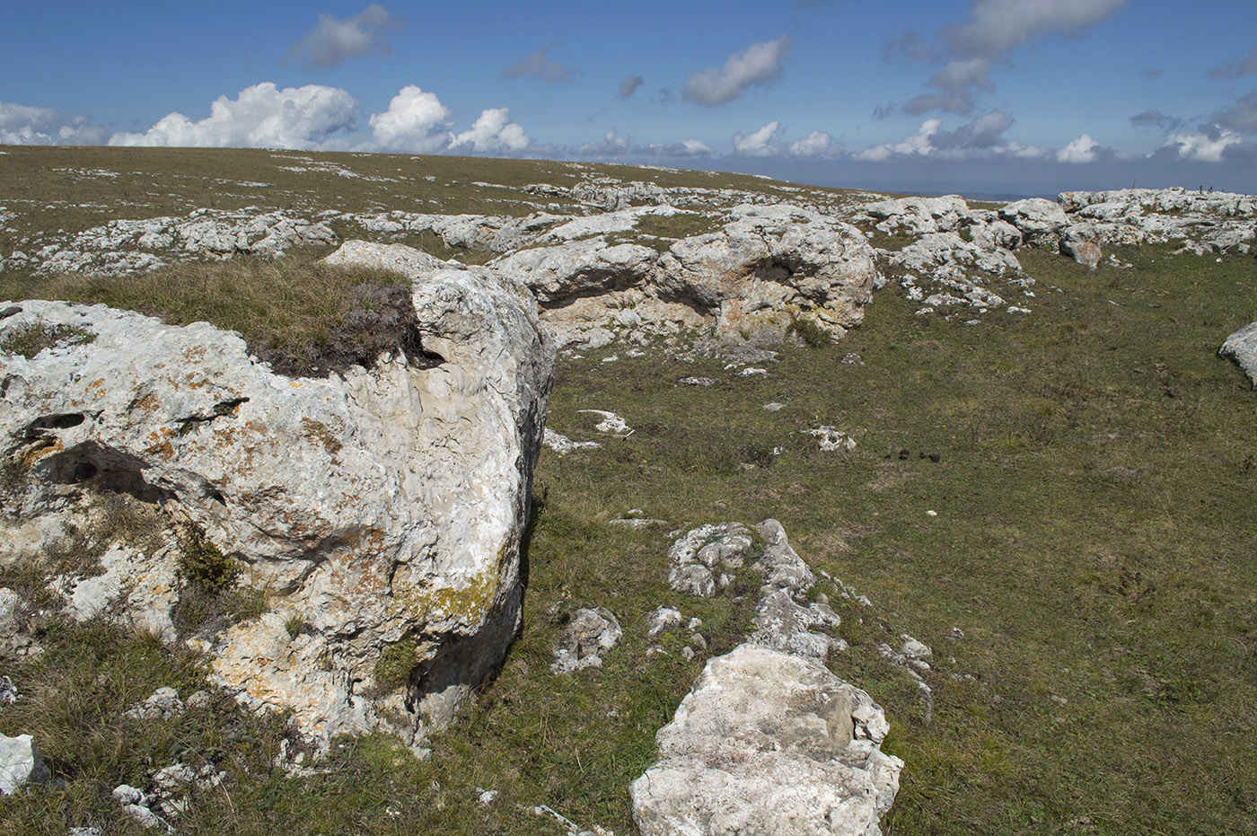 Баранаха, изображение ландшафта.