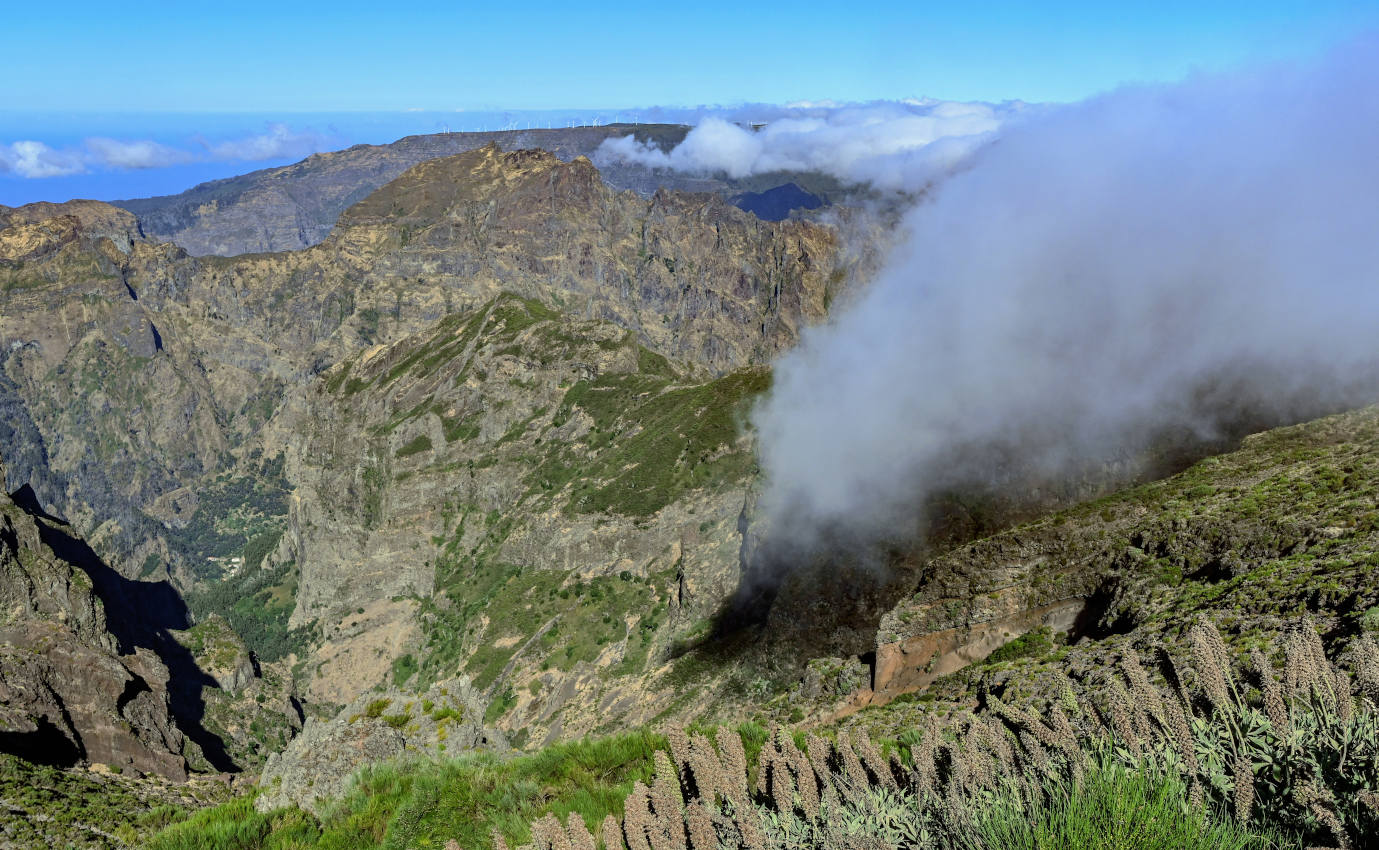 Пику-ду-Ариейру, изображение ландшафта.
