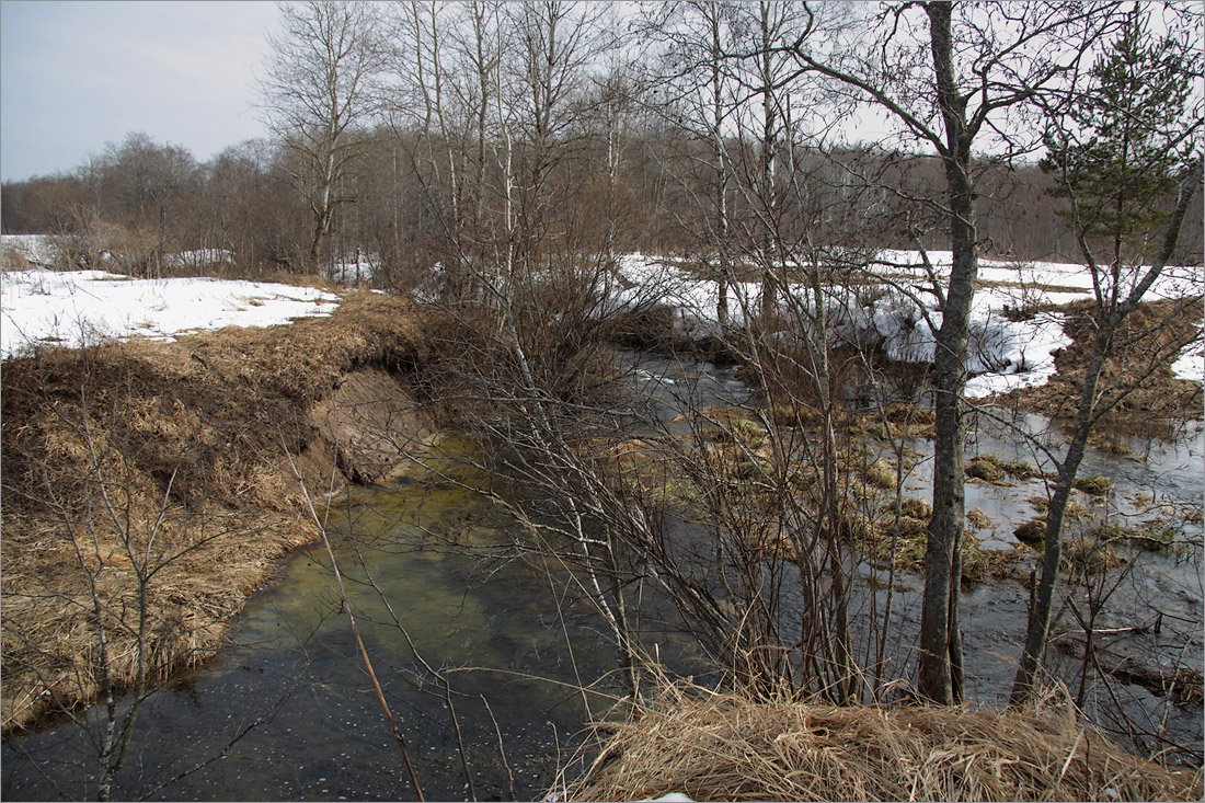 Истоки Шингарки, image of landscape/habitat.