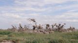 Image of landscape