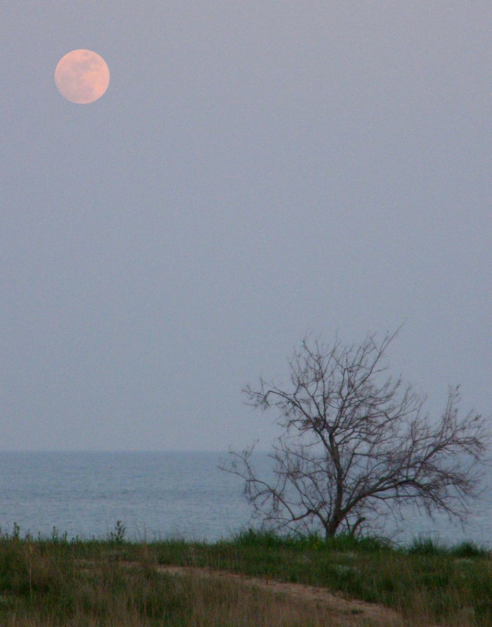 Енишарские горы, image of landscape/habitat.