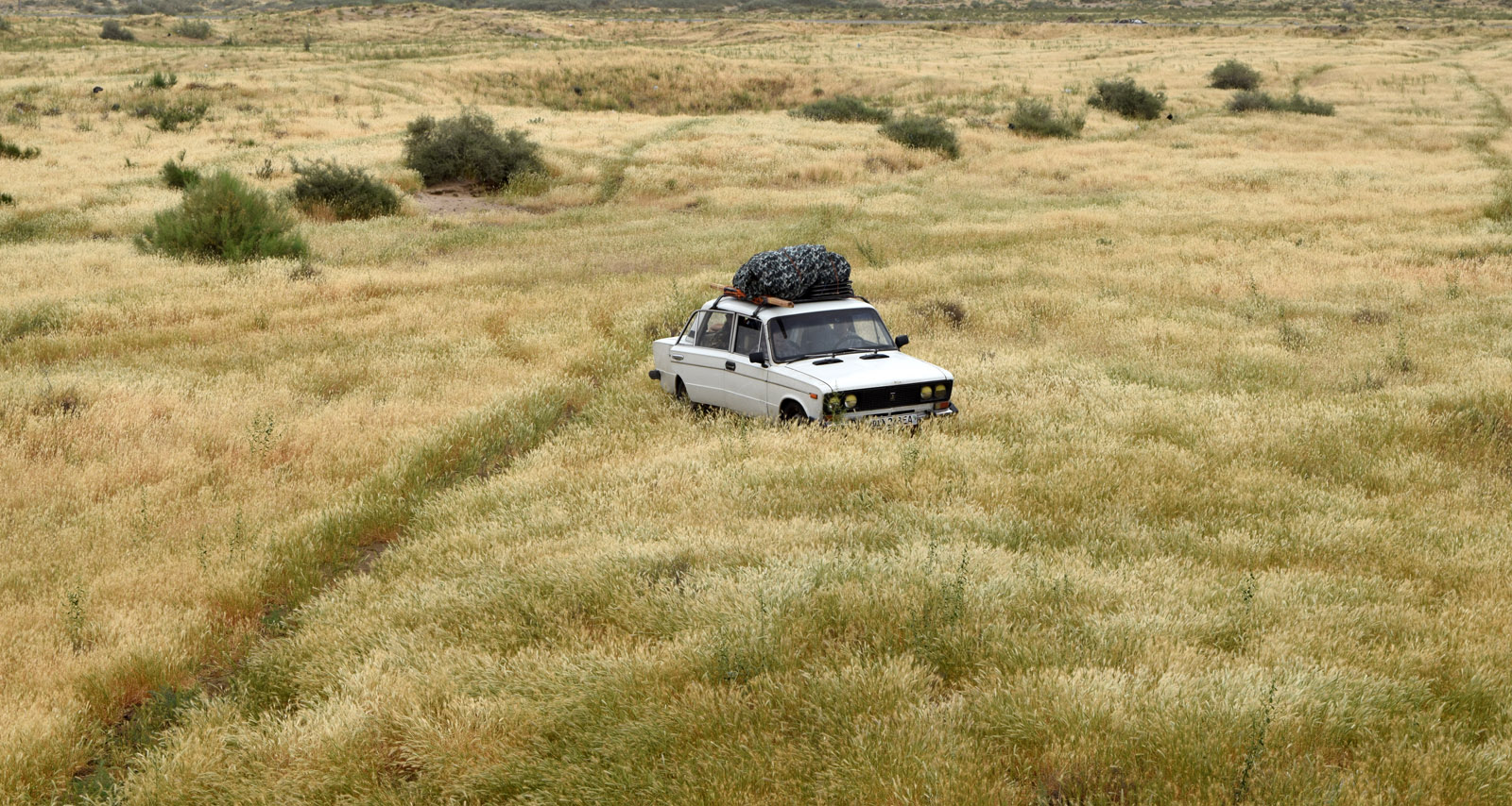 Пески Каттакум, image of landscape/habitat.