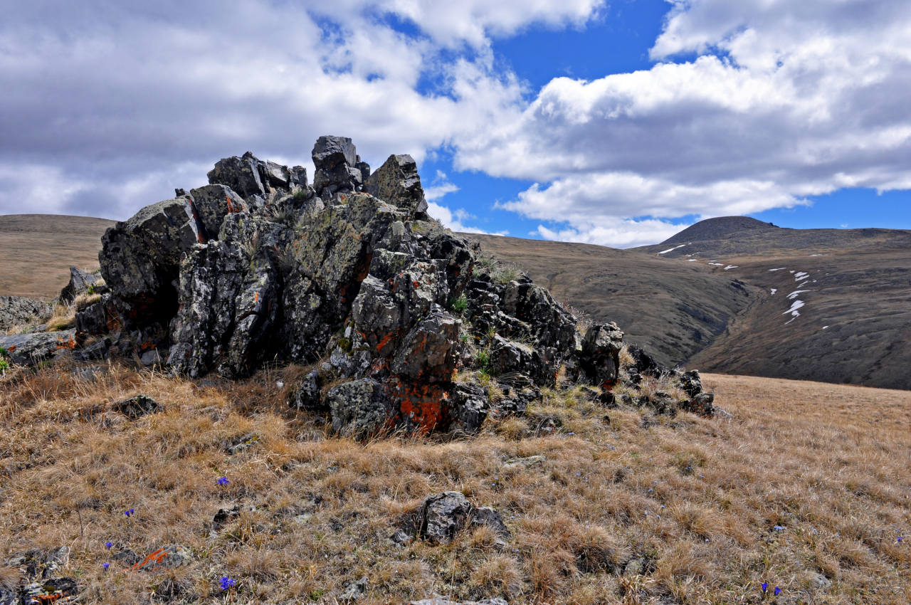 Долина реки Аккаллу-Озек, image of landscape/habitat.