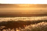 Белогорское, image of landscape/habitat.