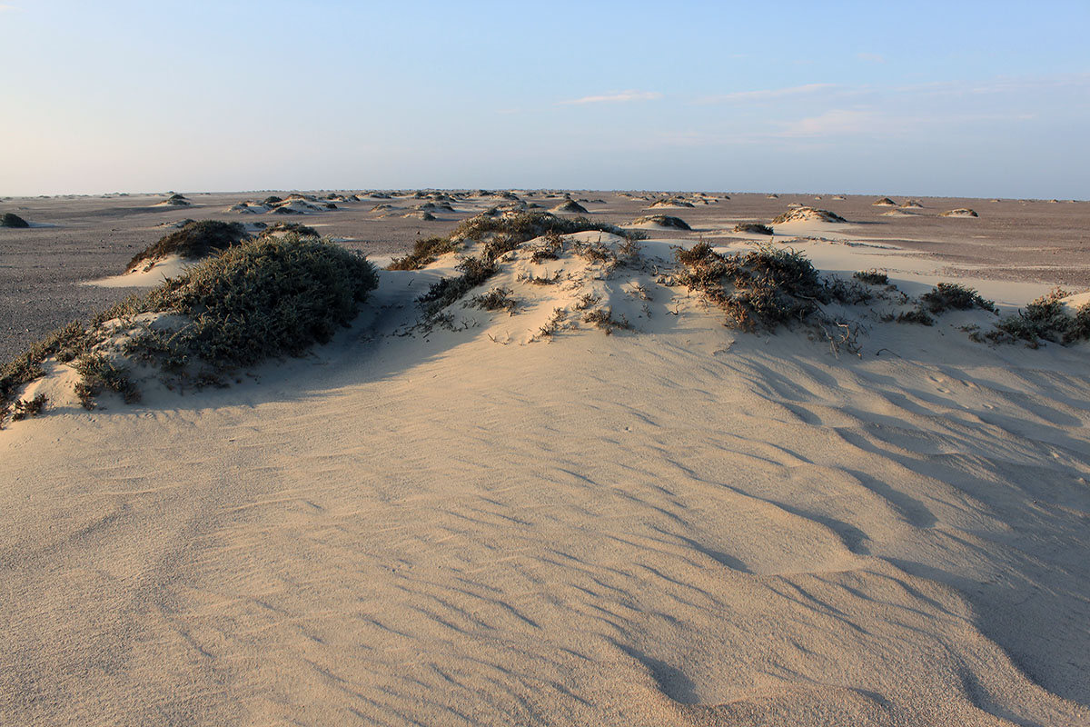 Берег скелетов, image of landscape/habitat.