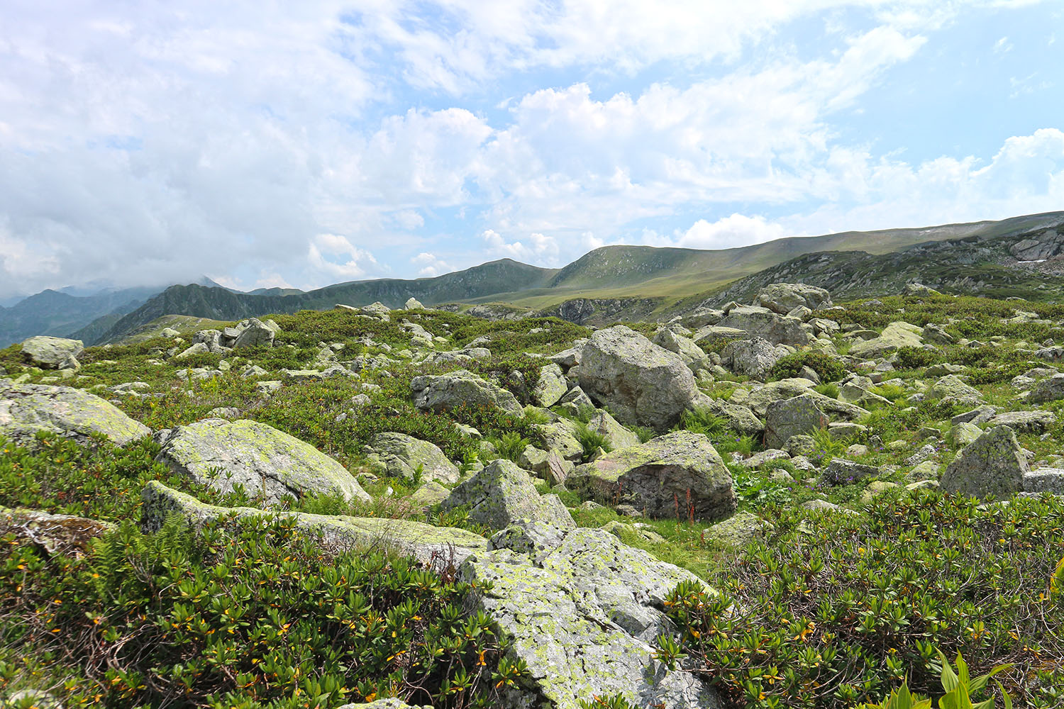 Ацгарские озёра, image of landscape/habitat.