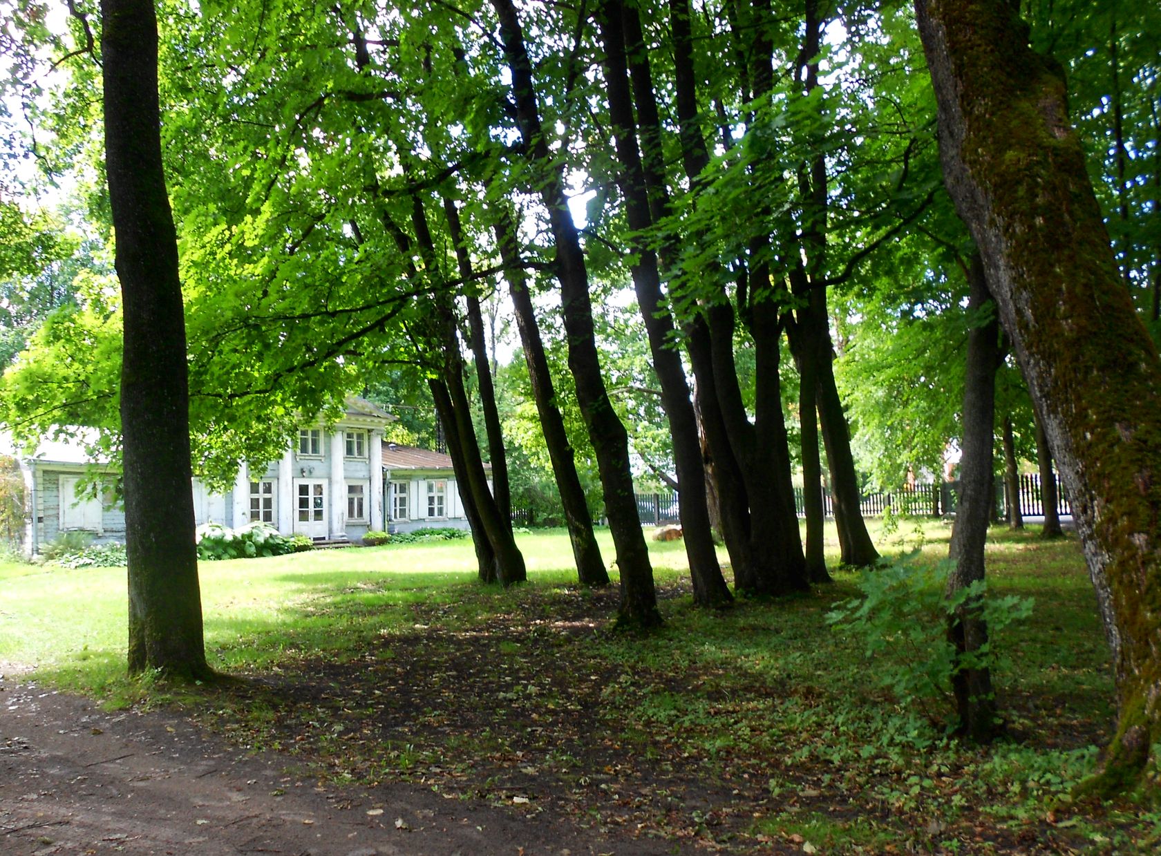 Ботсад Латвийского Университета, изображение ландшафта.