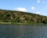 Image of landscape