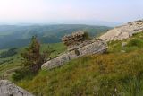 Малый Бермамыт, image of landscape/habitat.